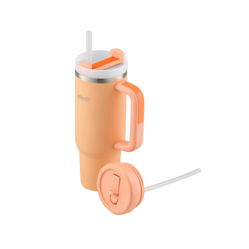 Avanti HydroQuench 1L Water Bottle with 2 Lids - Leak Proof BPA Free Peach Color - Perfect for Gym, Hiking & Outdoor Activities