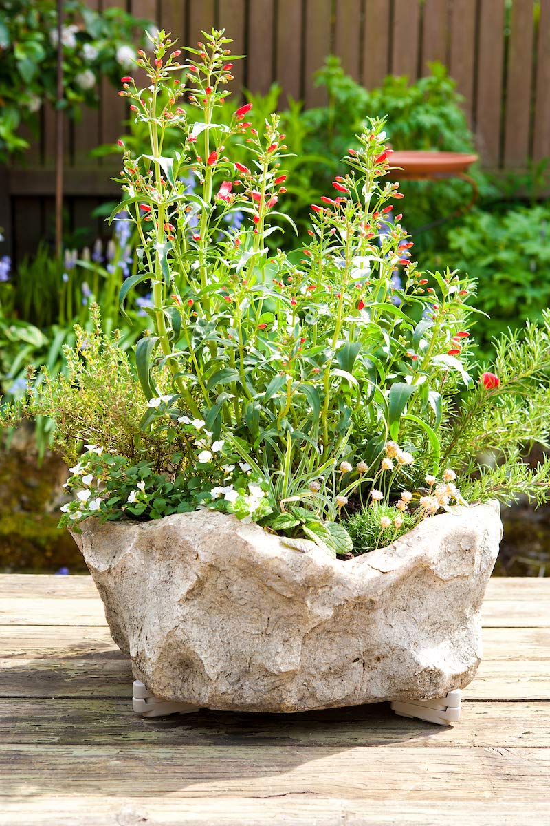 Bosmere 12-Pack Light Gray Plant Pot Risers - Indoor & Outdoor Pot Toes to Prevent Stains & Rotting on Wood, Cement & Tile Surfaces - Perfect for Patio, Deck & Garden Planters