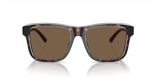 Shiny Havana/Top Crystal/Dark Brown