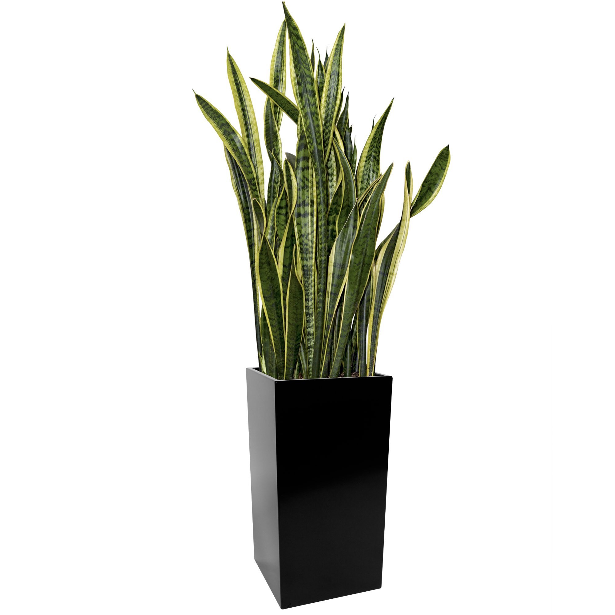 Kanto Carson Large Black Aluminum Planter for Indoor and Outdoor Plants - Perfect for Patio, Garden, Balcony, and Home Decor