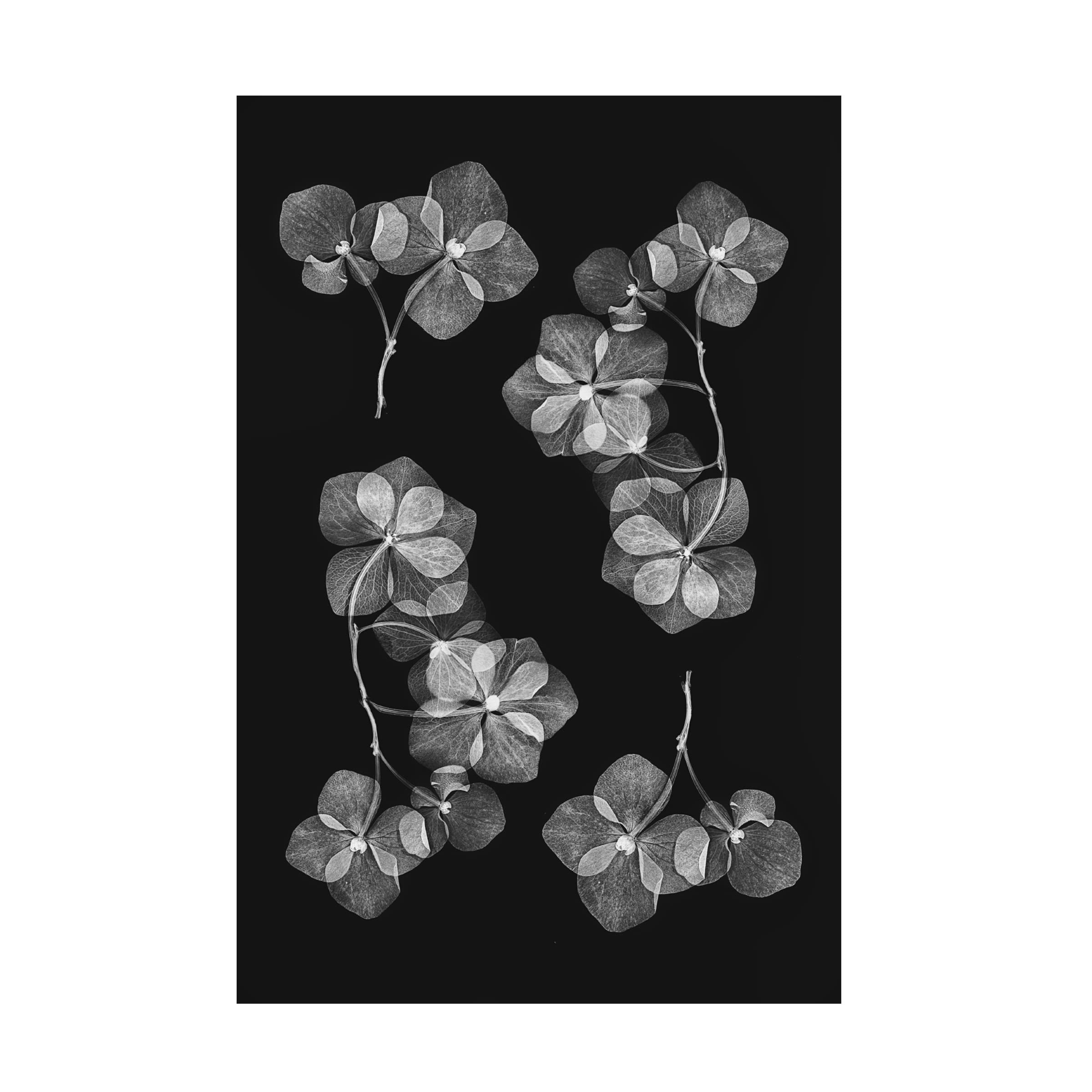 Lenka's 'Botanical 46' Floral Canvas Wall Art Print - Handmade Premium Home Decor for Living Room, Bedroom & Office