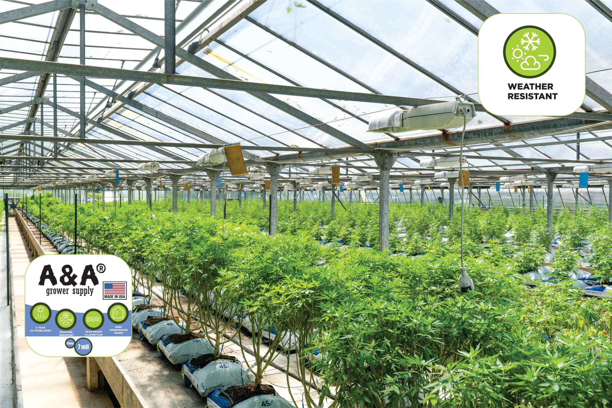 Premium 7 Mil Clear Greenhouse Plastic Film - UV Resistant, Heavy Duty Polyethylene Cover (25ft x 40ft) for 5+ Years Protection - Ideal for Greenhouses, Plant Tunnels & Garden Bed Covers