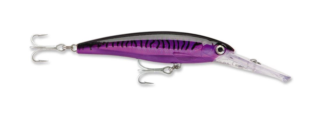 Purple Mackerel