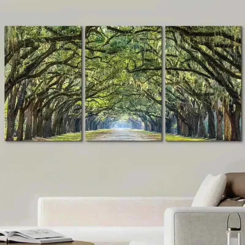 3-Piece Tree Arches Natural Wilderness Wall Art Set - Framed Canvas Prints 50x70cm - High Quality Australian Made Wall Decor - Perfect for Living Room, Bedroom & Office Decor