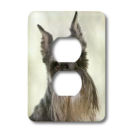 3D Rose Schnauzer Dog Themed 2 Plug Outlet Cover - Decorative Electrical Safety Cover for Home, Office, Nursery & Pet-Friendly Spaces
