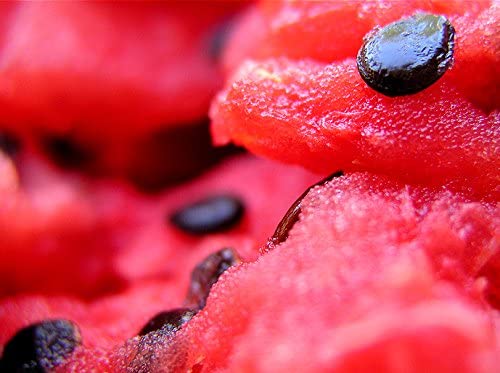 100% Pure Organic Watermelon Seed Oil - Cold-Pressed, Natural Moisturizer for Skin, Hair & Face Care | Imported from Egypt | 2 fl oz Glass Bottle by Sweet Essentials | Perfect for DIY Beauty Recipes, Massage Therapy & Aromatherapy
