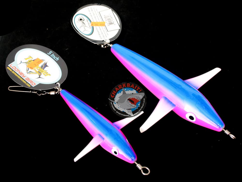 Tormenter Looney Birds - Fun and Interactive Bird Toy for Parrots, Cockatiels & Small Birds | Perfect for Playtime, Training & Mental Stimulation