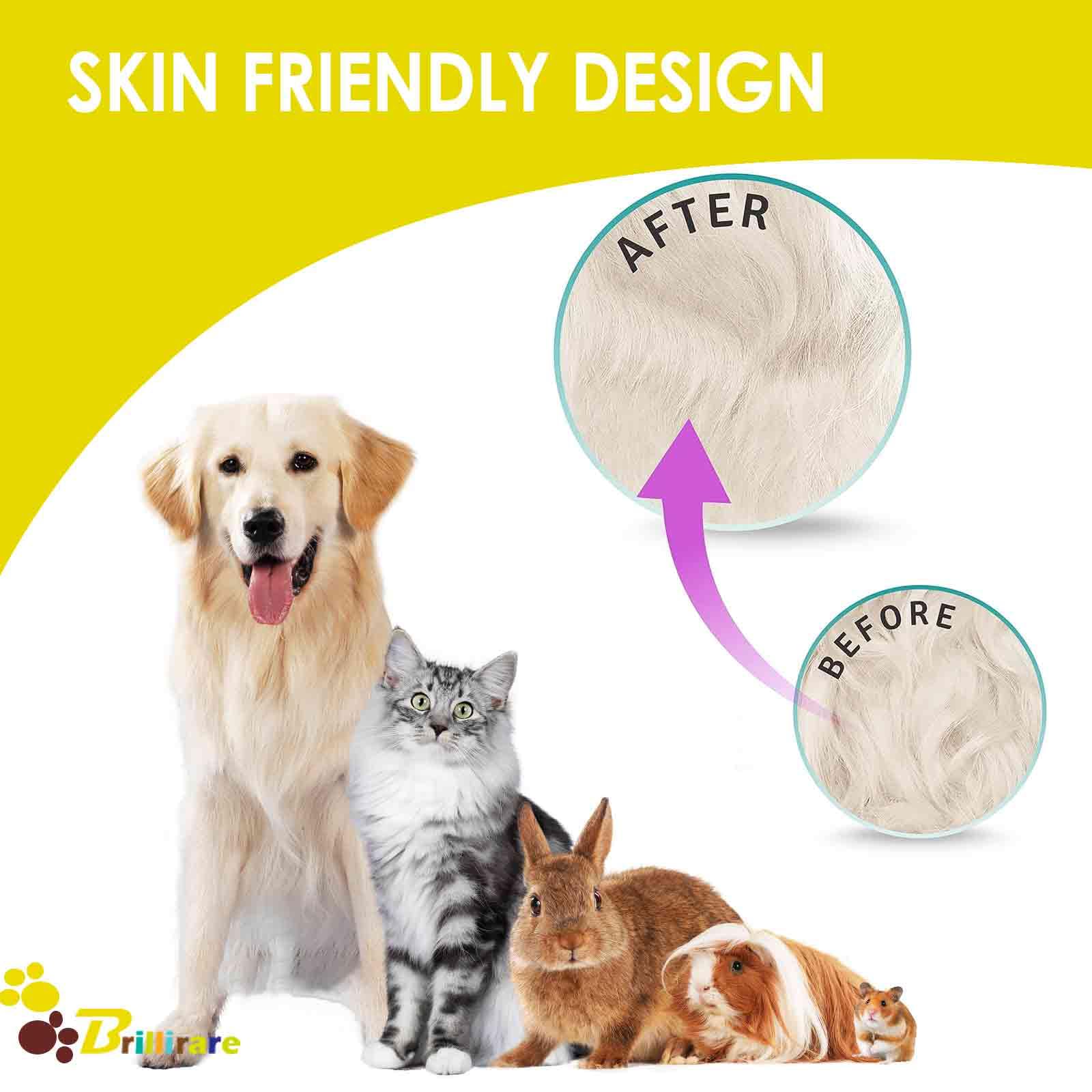 Brillirare 4 Pack Flea & Lice Comb Set - Stainless Steel Pet Grooming Combs with Rounded Teeth for Dogs & Cats | Double Sided Professional Tear Stain Remover & Dematting Tool for Small, Medium & Large Pets | Perfect for Home Grooming & Pet Salon Use