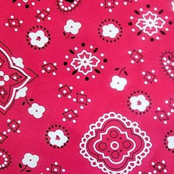 Fuchsia