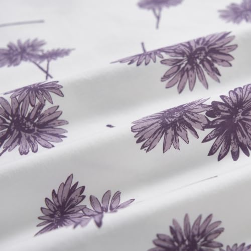 Purple Danerlion on Cream