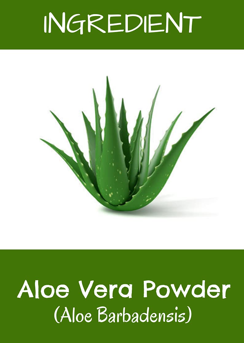 Organic Aloe Vera Powder for Face, Skin & Hair Care - 100g | MR Ayurveda | Hydrating & Soothing for Acne, Dry Skin & Hair Growth