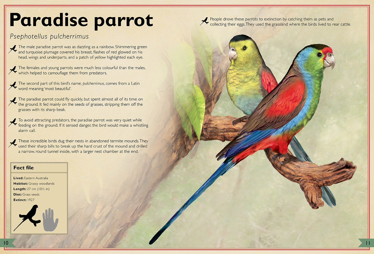 The Magnificent Book of Extinct Animals - Illustrated Encyclopedia of Prehistoric Creatures for Kids & Adults | Perfect for Homeschooling, Science Education & Animal Lovers