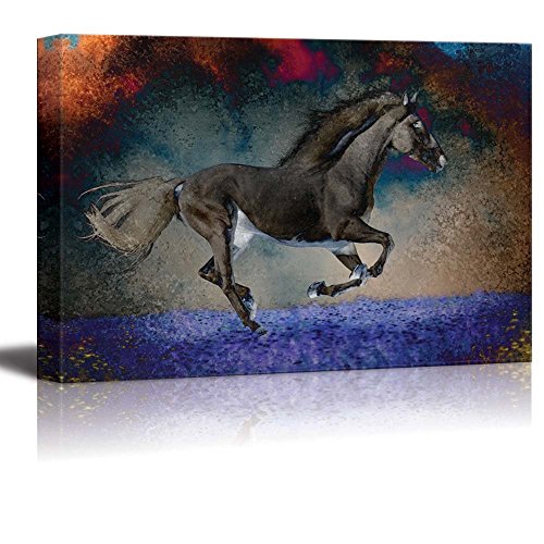An Exposed Horse