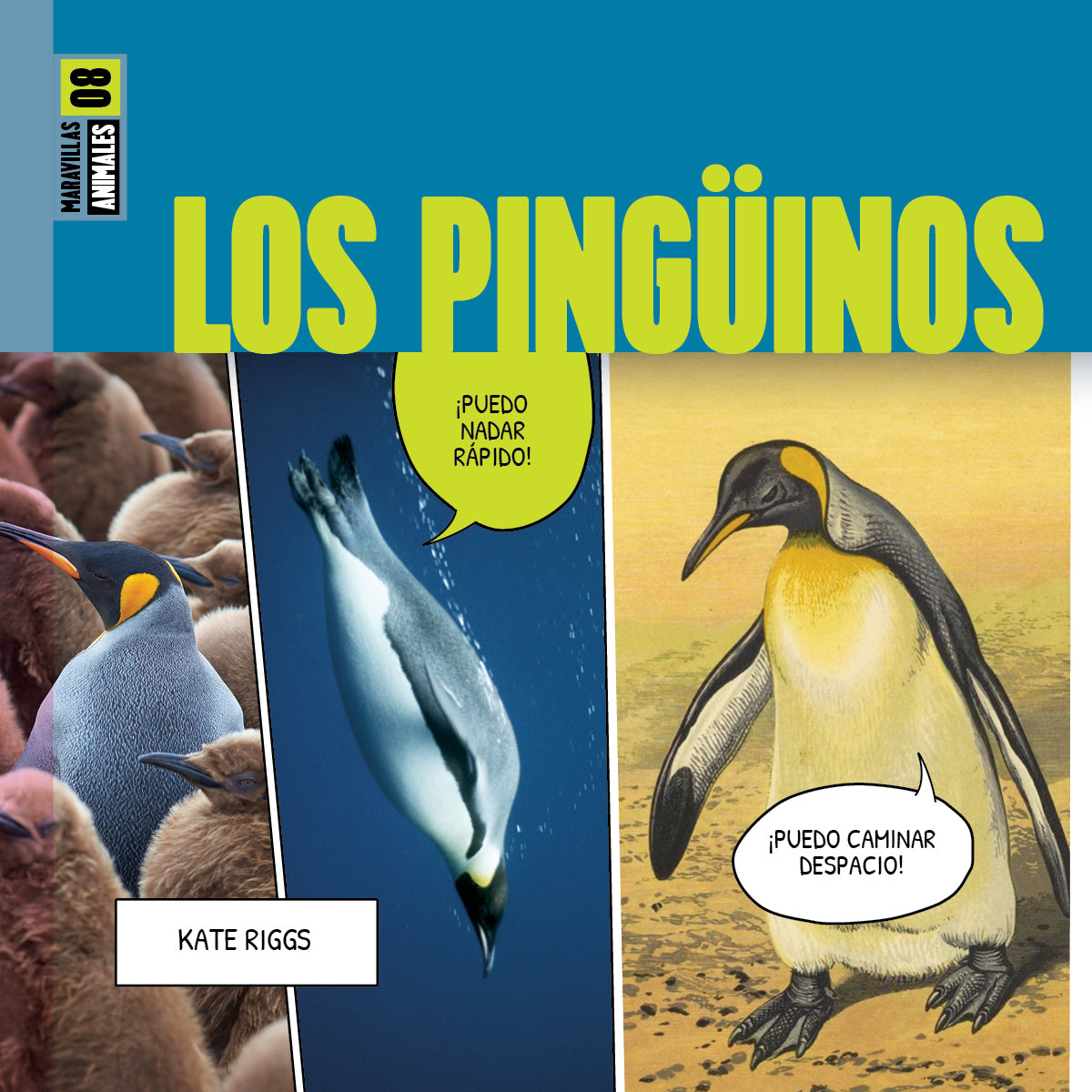 Los Pinguinos 9798889891017 - Cute Penguin Plush Toy for Kids, Soft Stuffed Animal Gift for Christmas & Birthdays | Perfect for Bedroom Decor, Nursery, and Playtime