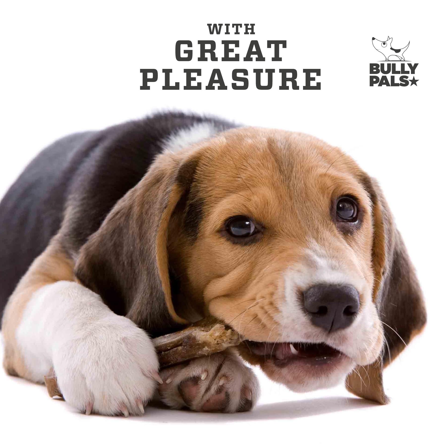 Premium 6-Inch Jumbo Bully Sticks for Dogs - 6 Pack | All-Natural, Single-Ingredient, Long-Lasting Dehydrated Dog Treats & Dental Chews - Perfect for Aggressive Chewers, Training Rewards, and Oral Health Care