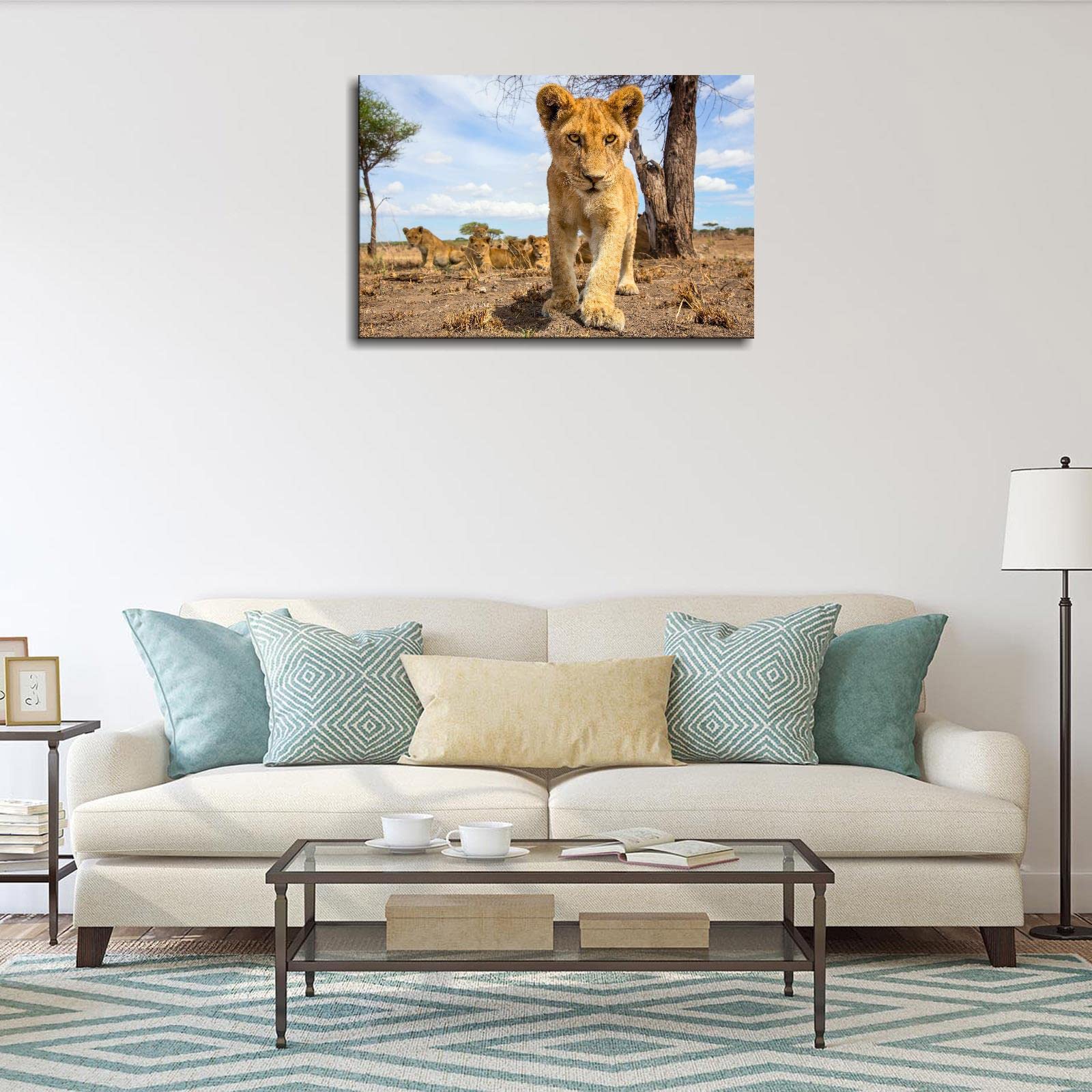 Little Lion Canvas Prints - 12