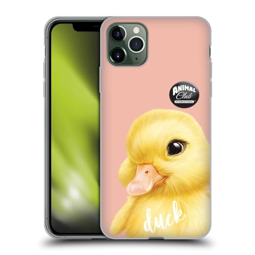 Duck