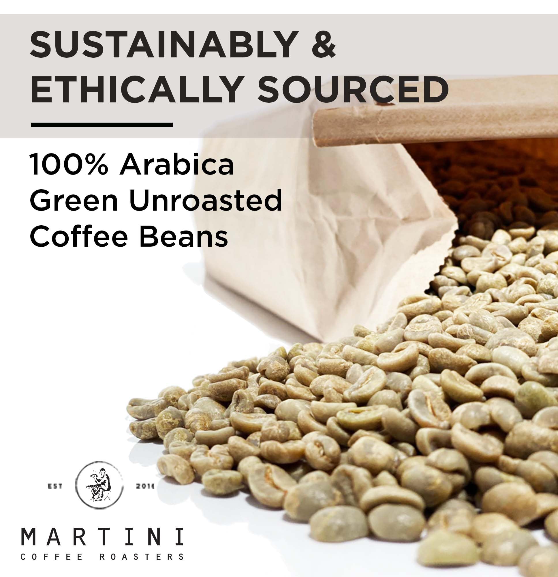 10LB Unroasted Green Coffee Beans - Costa Rica Tarrazu Single Origin - Premium Raw Coffee Beans for Home Roasting - Perfect for Espresso, Cold Brew & French Press - Martini Coffee Roasters