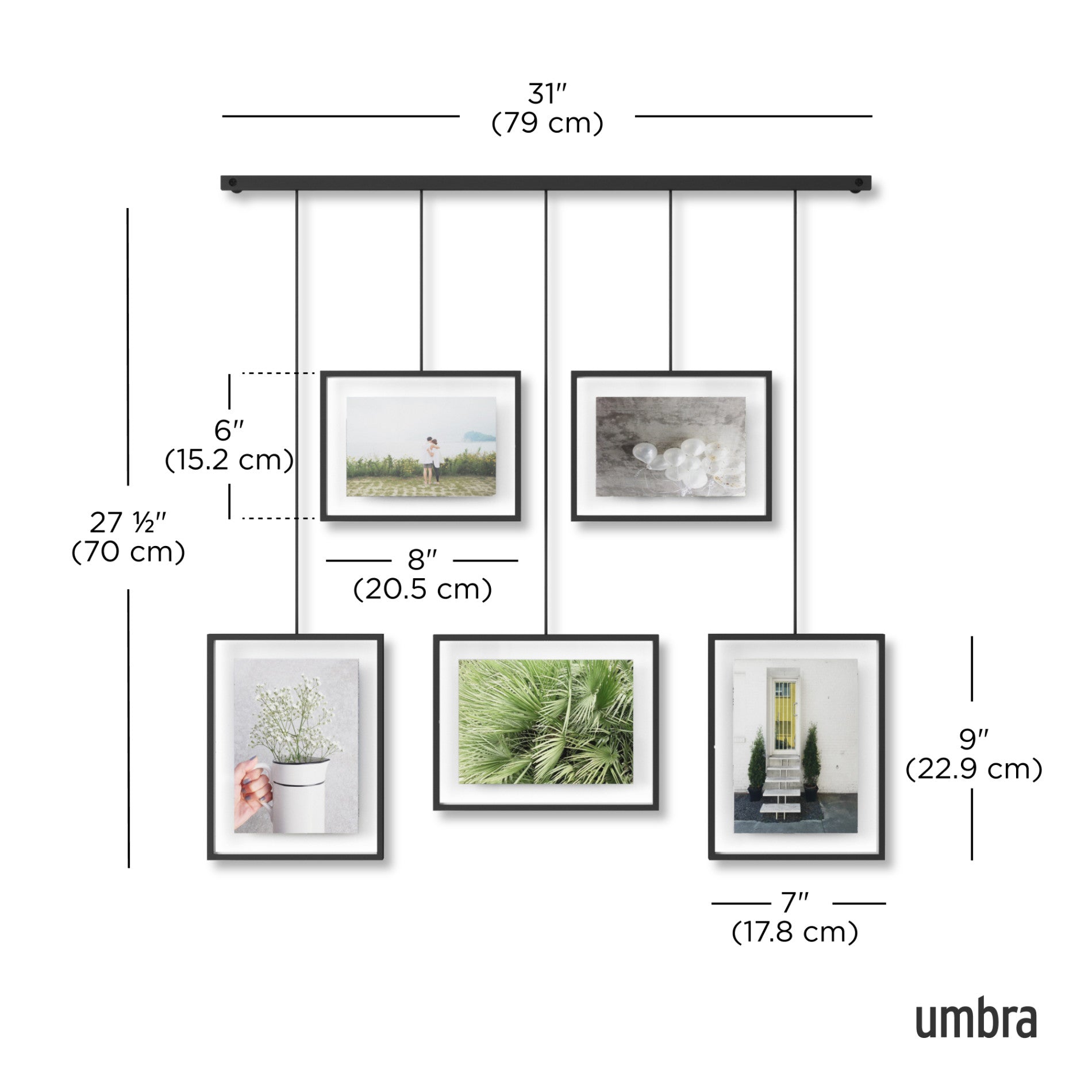 Premium Exhibit Wall Picture Frames Set of 5 - Black Gallery Style Photo Frames for Home Decor, Office Display & Art Exhibition - Perfect for Living Room, Bedroom or Professional Art Showcase
