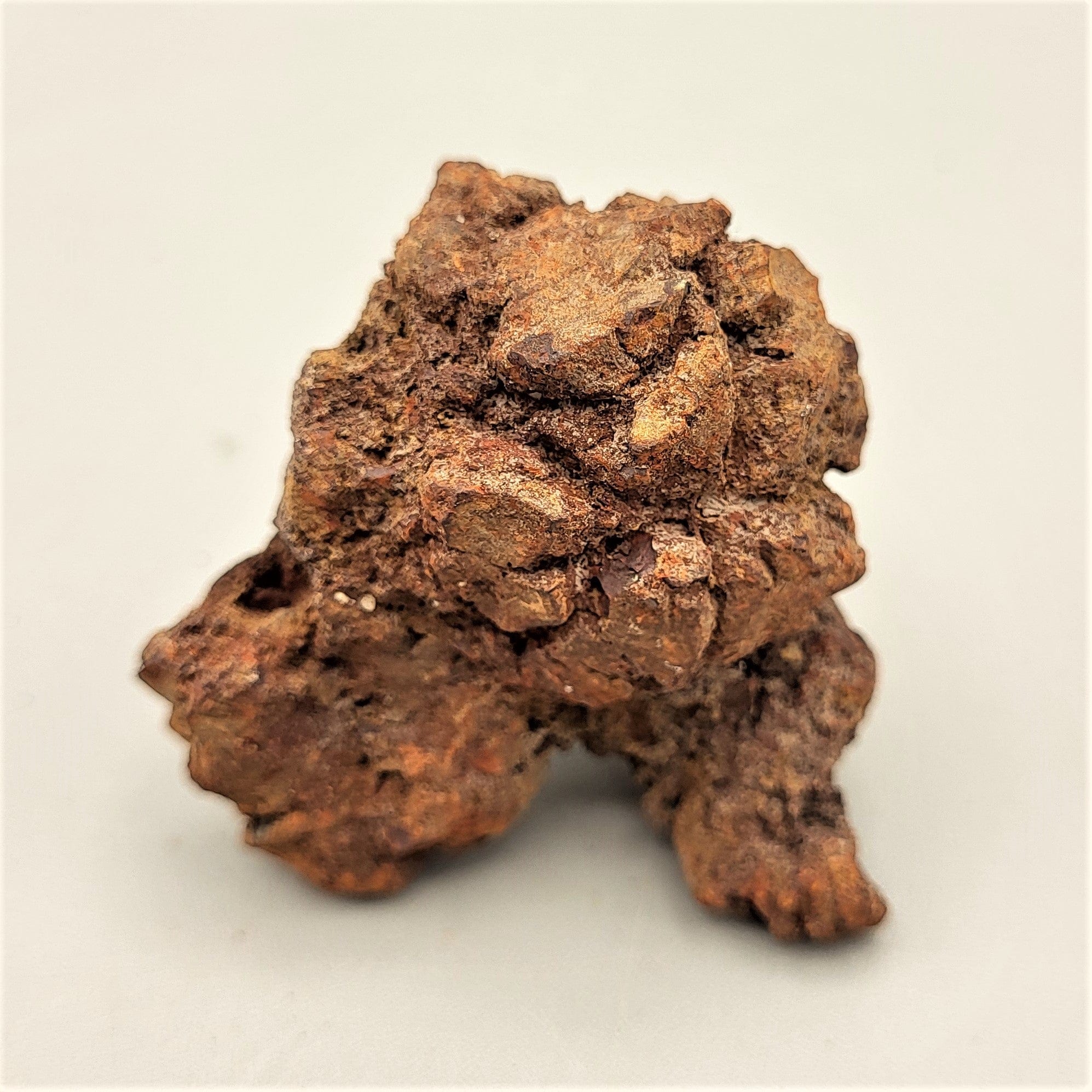 Authentic Coprolite Fossil Specimen - Dinosaur Poop Fossil for Collectors, Education & Home Decor - Perfect for Science Enthusiasts & Paleontology Gifts