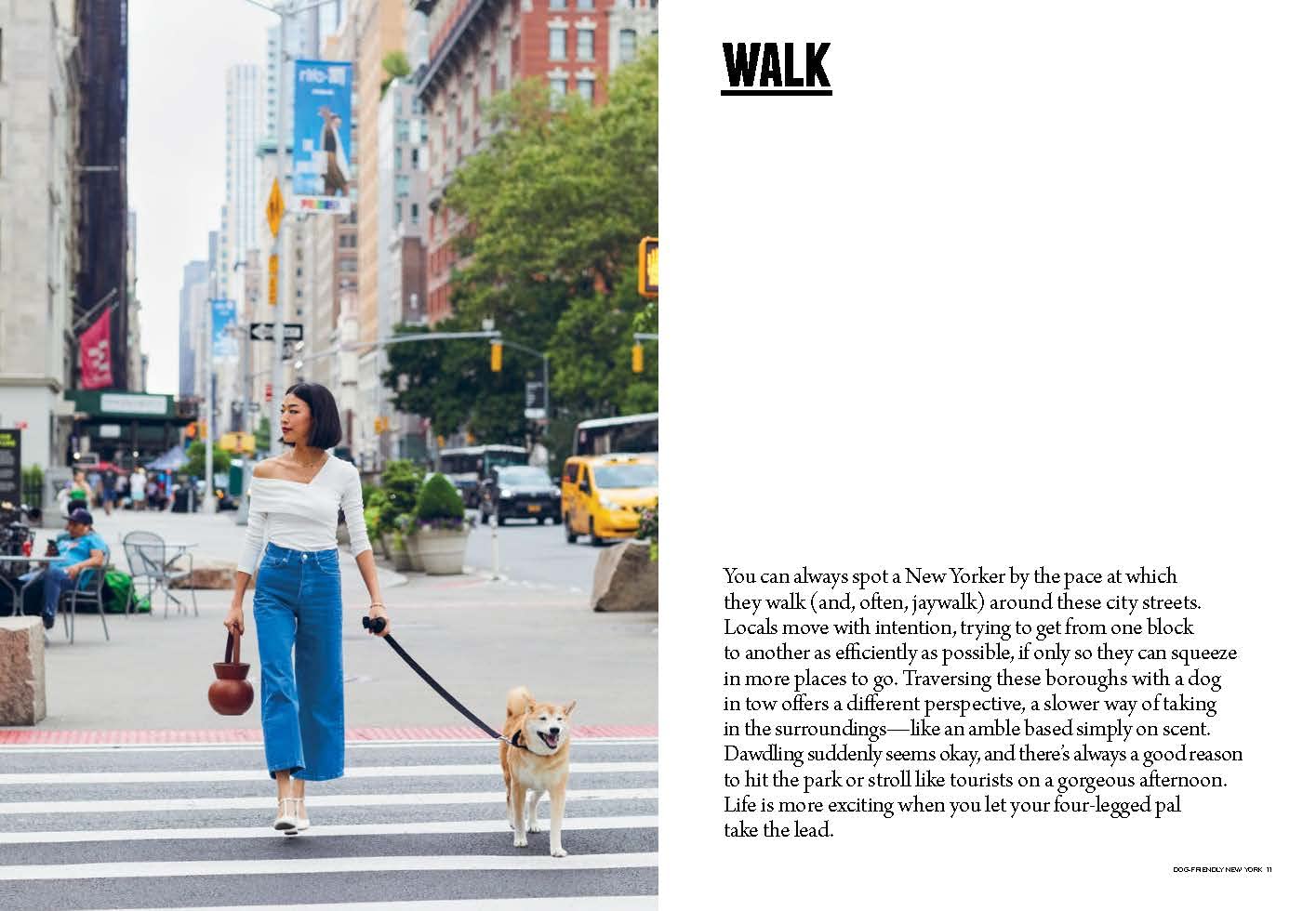 Dog Friendly New York City Guide - Best Pet-Friendly Hotels, Parks & Restaurants | Travel Tips for Dog Owners