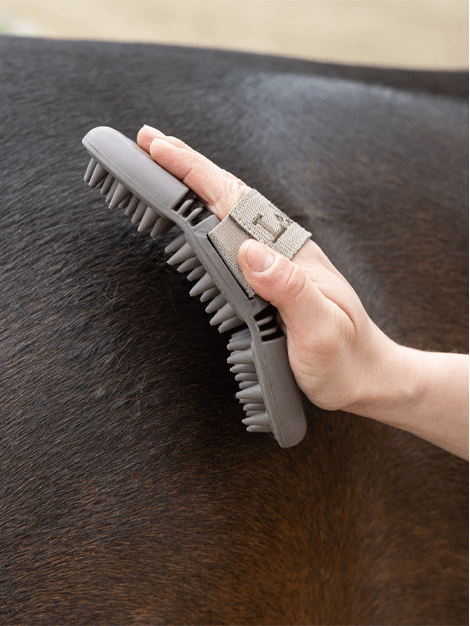 Le Mieux Flexi Massage Brush for Dogs & Cats - Grooming & Deshedding Tool - Perfect for Pet Hair Removal & Relaxation at Home