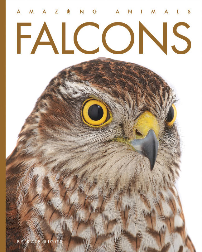 Falcons Book 9781640265639 - Wildlife & Nature Guide for Bird Lovers, Perfect for Outdoor Enthusiasts and Educational Use