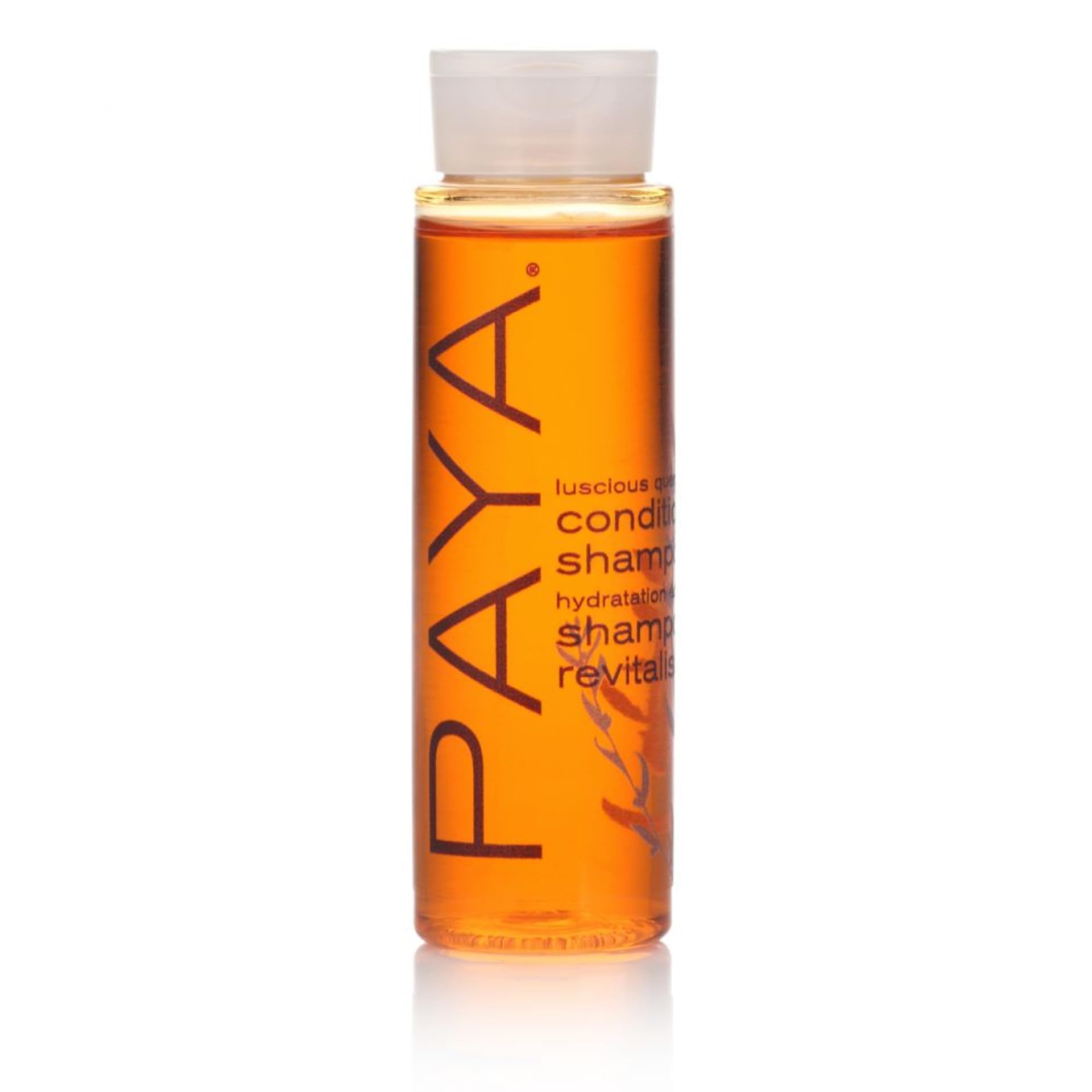 PAYA Shampoo for Hair Care - 1 oz Huntington Bottle (Pack of 144) - Perfect for Salons, Spas & Travel-Size Toiletries