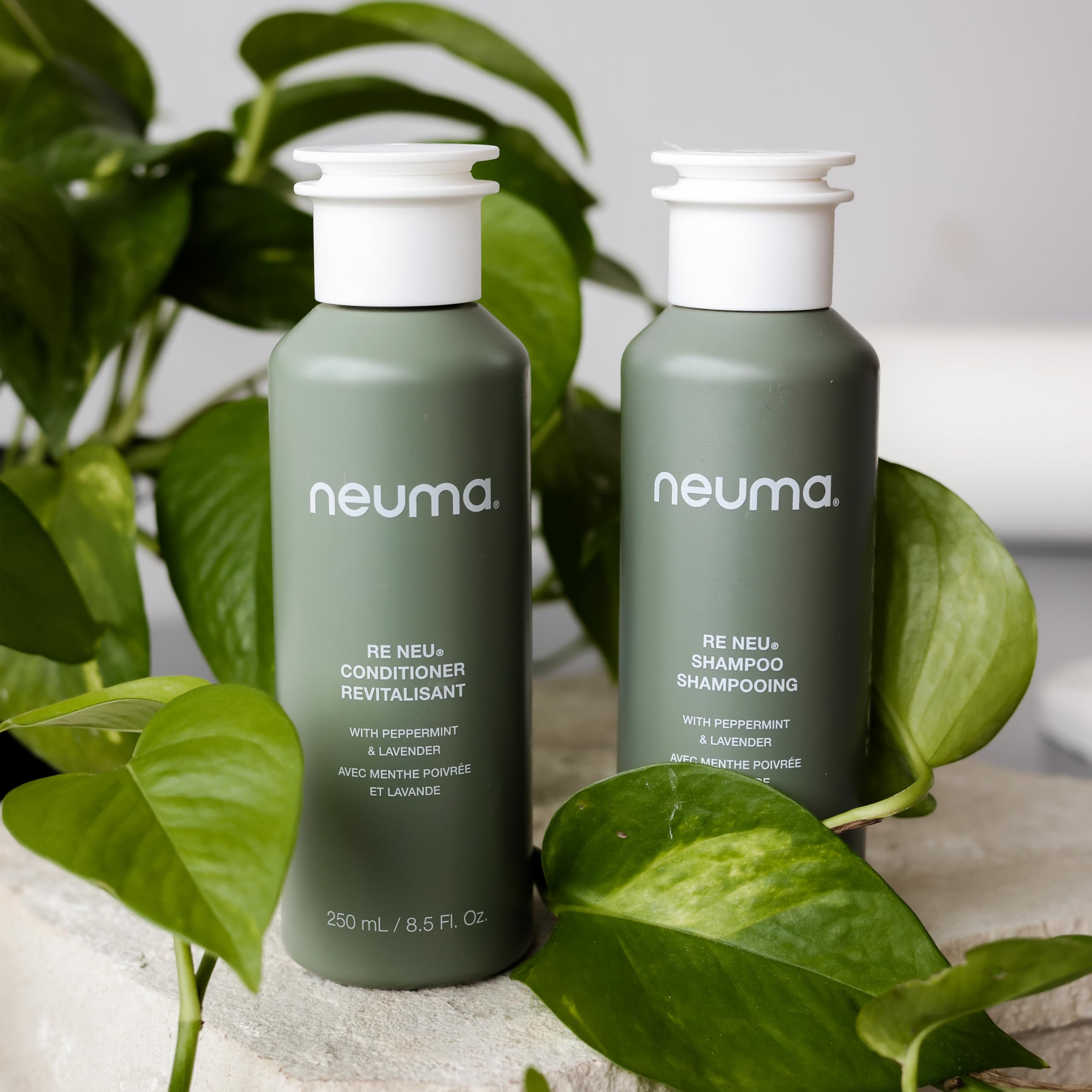 NEUMA Re Neu Shampoo - Volumizing & Repairing Hair Shampoo for Damaged Hair - Perfect for Daily Use & Salon-Quality Results at Home