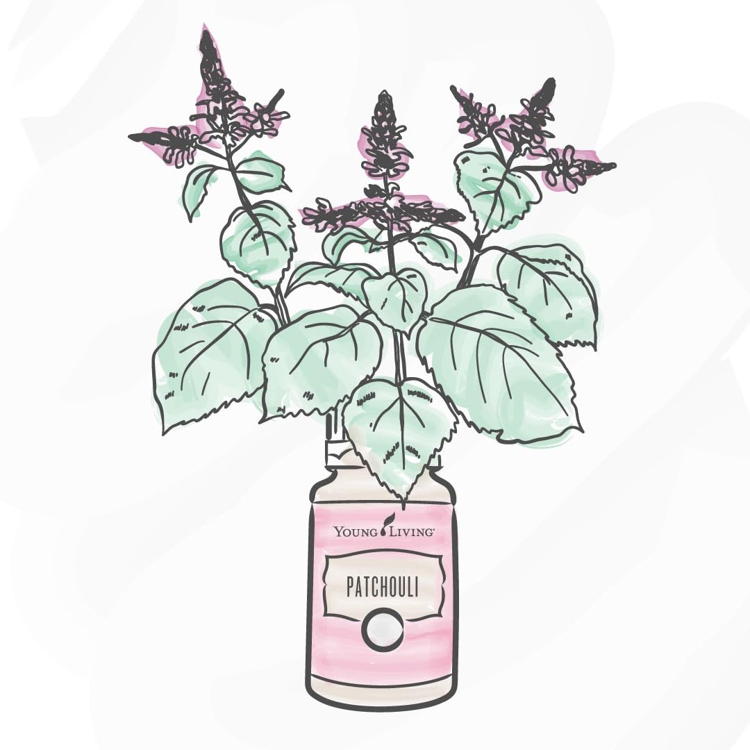 Young Living Patchouli Essential Oil - 15ml - Premium Grade for Dry Skin Care, Aromatherapy & Relaxation - Moisturizes Skin, Reduces Blemishes - Perfect for Diffusers, Massage & DIY Beauty Products
