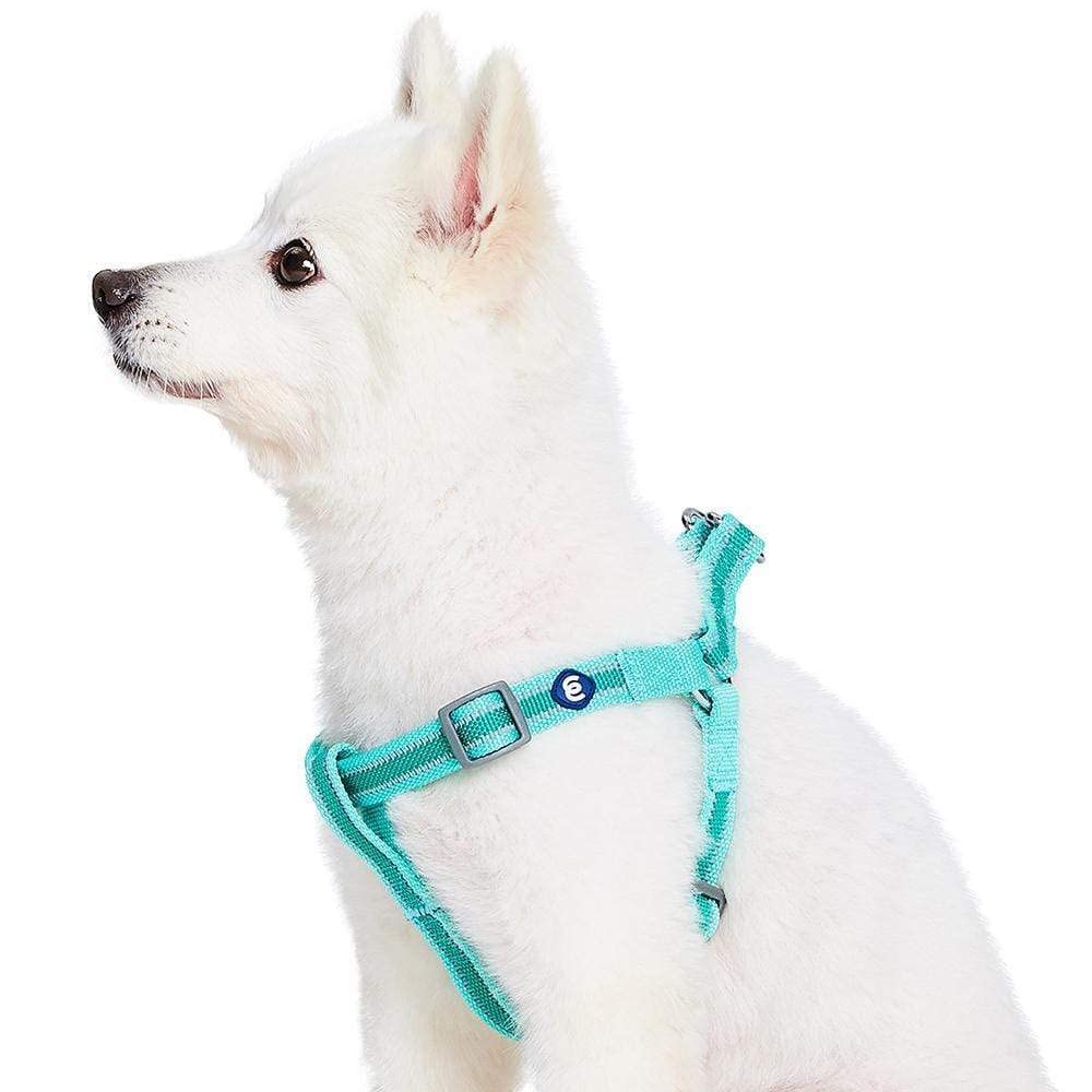 Blueberry Pet Essentials Step-in Reflective Dog Harness - Adjustable Mint Green Vest for Medium Dogs (20-26