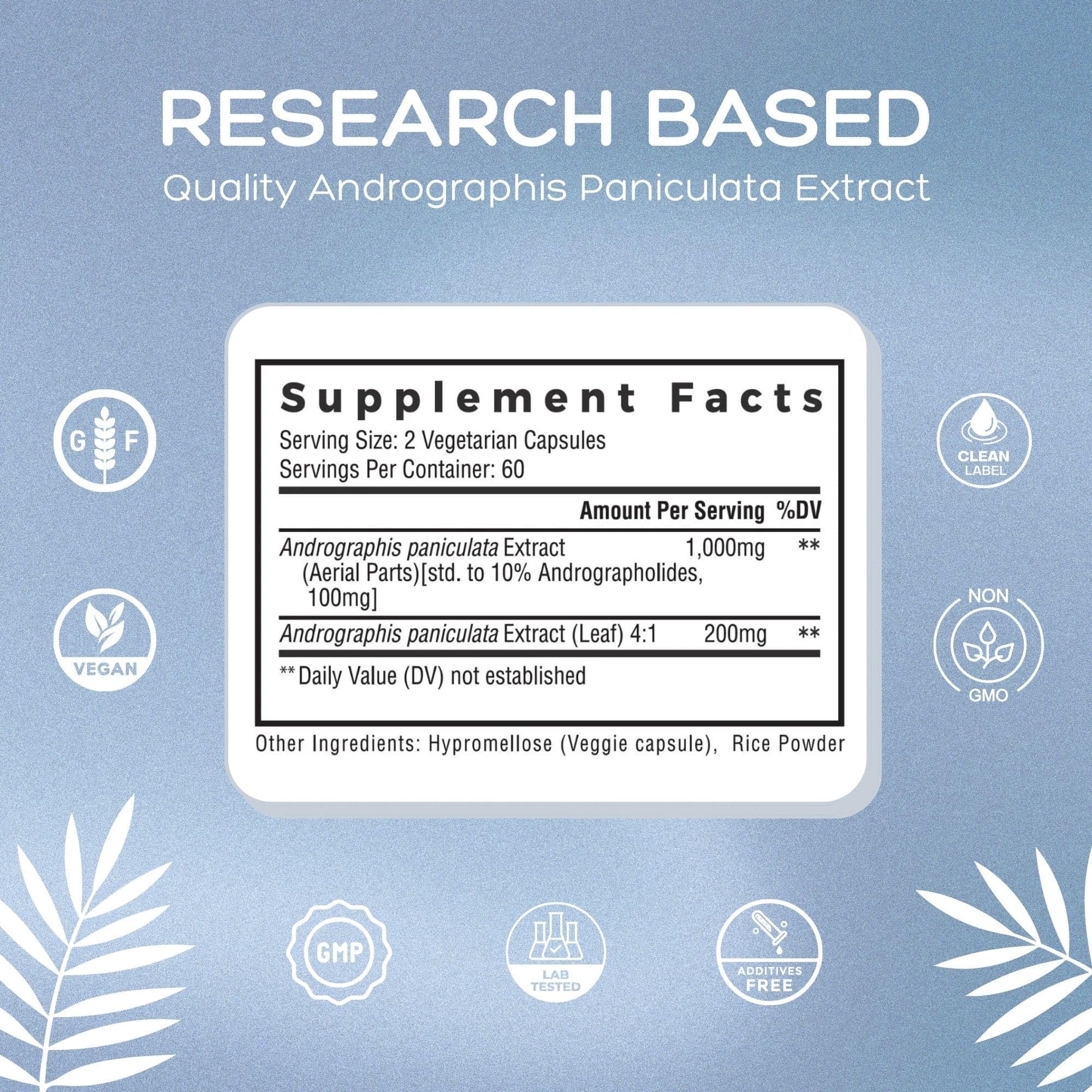 Premium Andrographis Paniculata Extract 2 Pack - 1,200mg (100mg Andrographolides) per Serving, Non-GMO, Vegan, Gluten Free - Immune Support Supplement for Cold & Flu Season, Natural Herbal Remedy for Wellness