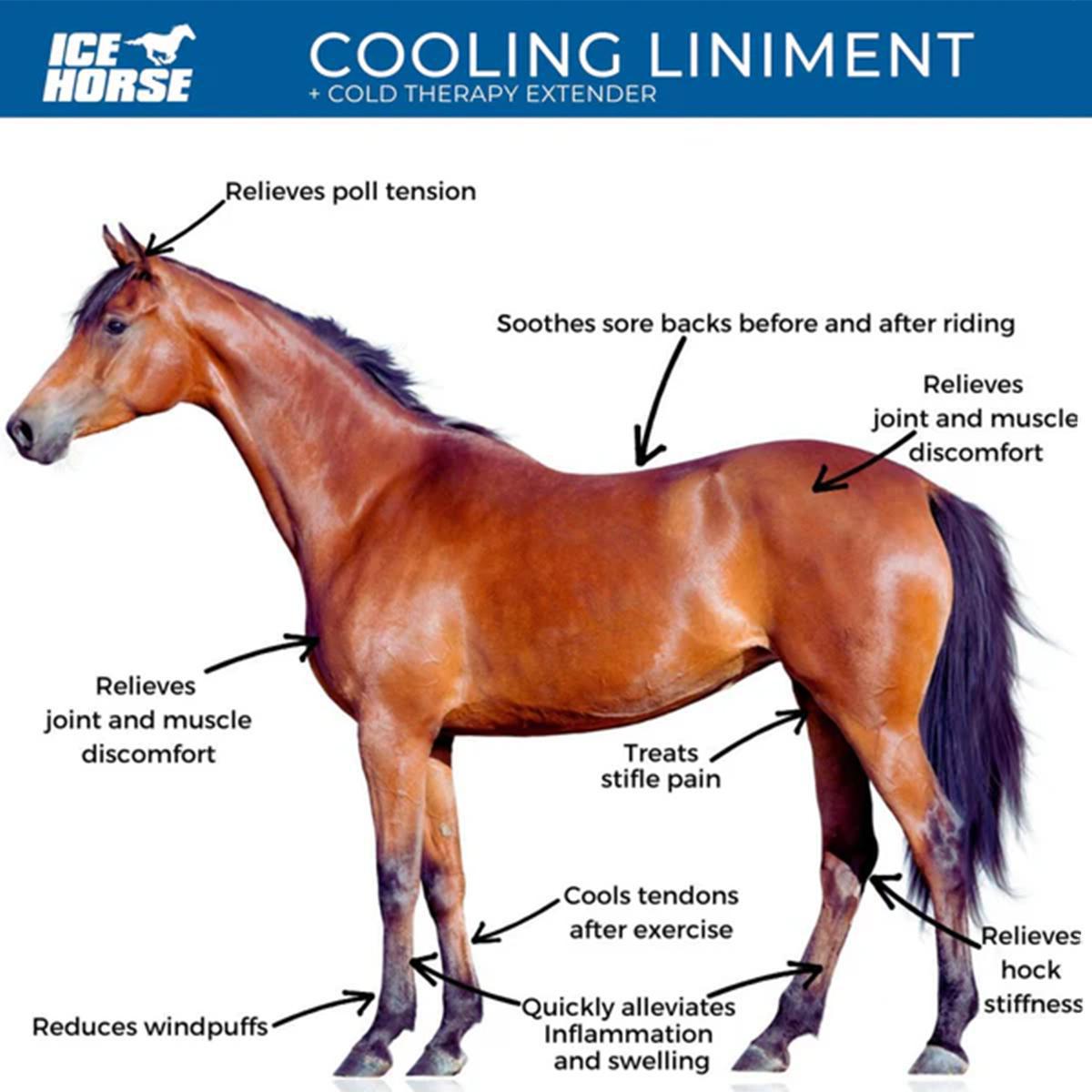 Ice Horse Cooling Liniment & Cold Therapy Gel - Pain Relief for Muscle Soreness, Joint Pain & Swelling - Perfect for Post-Workout Recovery, Sports Injuries & Arthritis Relief