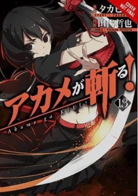 Buy Akame ga Kill! Vol. 13 Manga by Takahiro - Action-Packed Fantasy Adventure for Anime Fans & Collectors | Perfect for Manga Lovers & Gift Giving