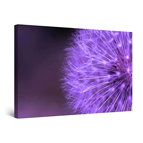Purple Macro Flower