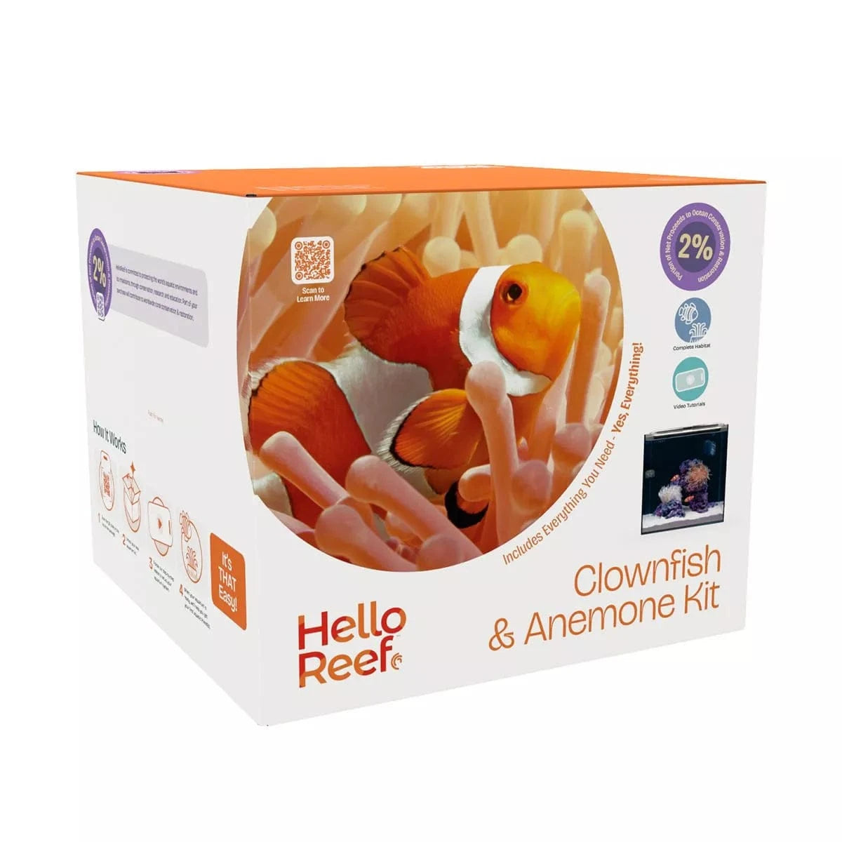 Clownfish & Anemone Aquarium Kit - Complete Saltwater Reef Tank Starter Set for Beginners | Perfect for Home, Office & Classroom Marine Displays