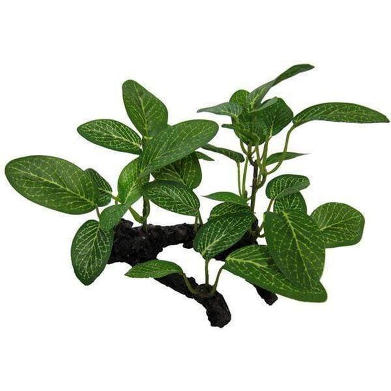 Amazon Jungle African Shade Leaf on Log - Natural Tropical Plant Decor for Home, Office & Terrarium - Perfect for Jungle Themed Parties & Boho Interior Design