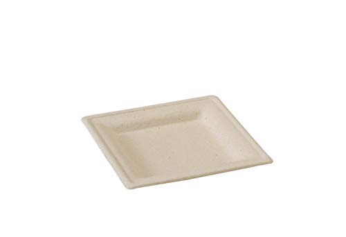 Eco-Friendly Brown Sugarcane Square Appetizer Plates (6.3
