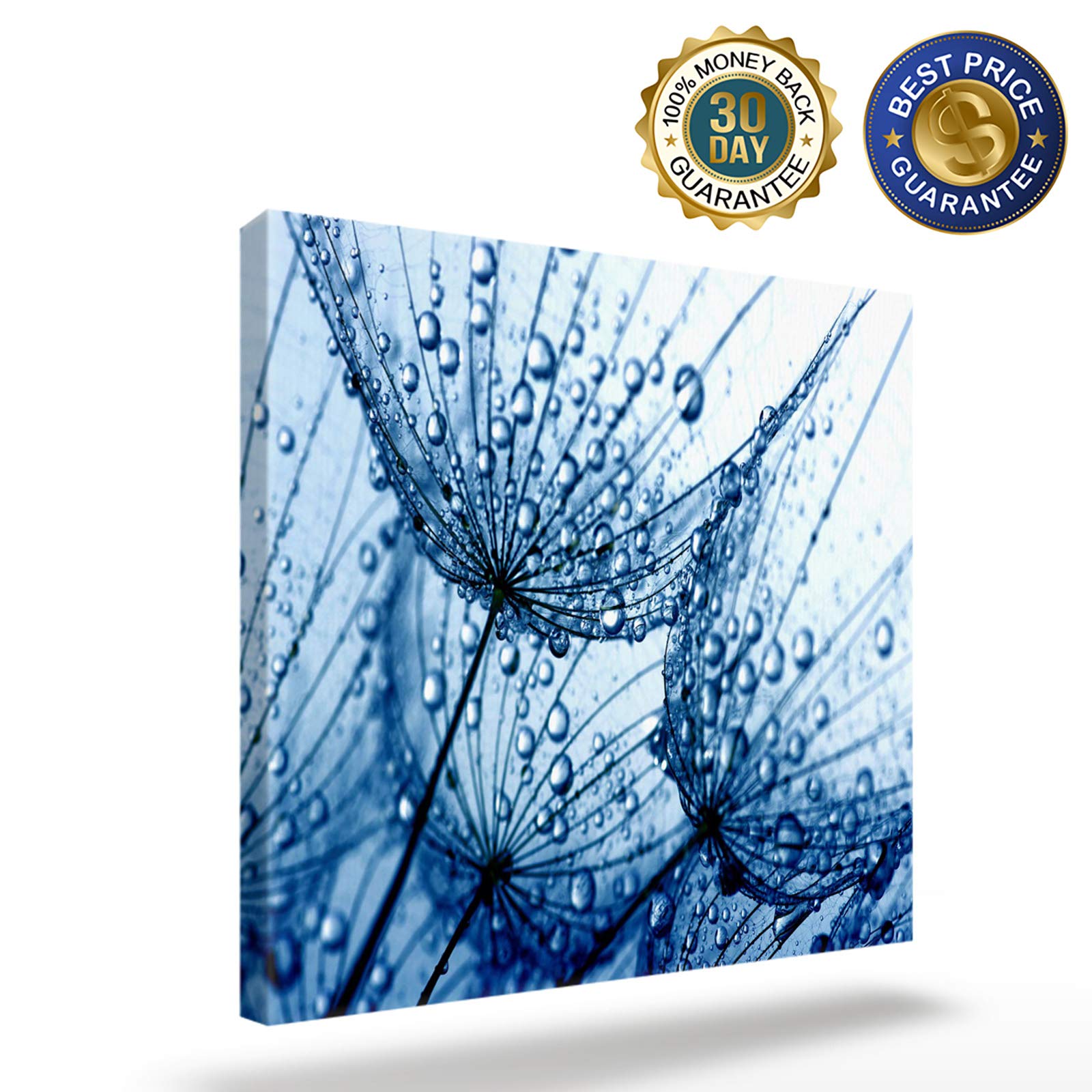 Blue Dandelion Water Droplets Abstract Canvas Wall Art - Framed Painting Print for Bedroom, Bathroom & Kitchen Decor - Ready to Hang Gift (28x28 Inches) - Perfect for Modern Home, Office & Wedding Decorations