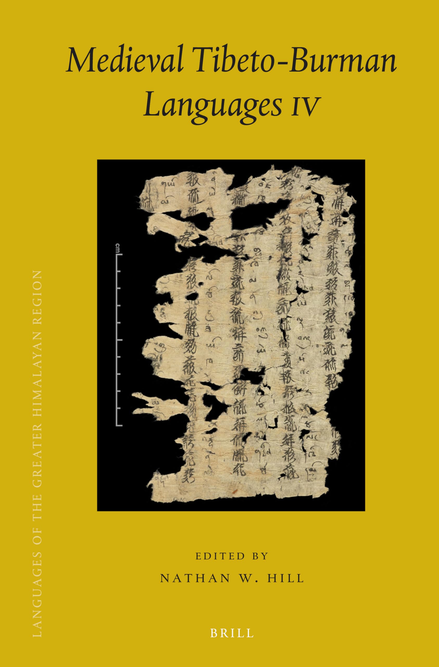 Medieval Tibeto-Burman Languages IV - Brill's Tibetan Studies Library | Historical Linguistics Research & Ancient Asian Language Studies - Perfect for Scholars, Researchers & History Enthusiasts