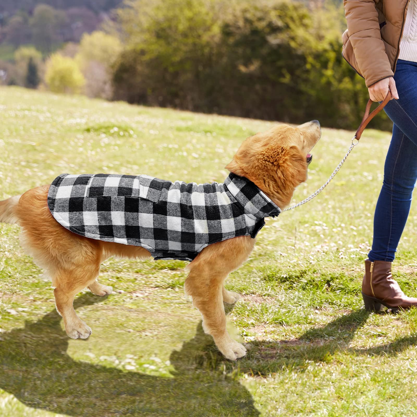 Malier Classic Plaid Fleece Dog Winter Coat - Windproof Warm Pet Jacket with Pocket for Small Medium Large Dogs | Cold Weather Apparel for Outdoor Walks & Winter Adventures (White, Small)