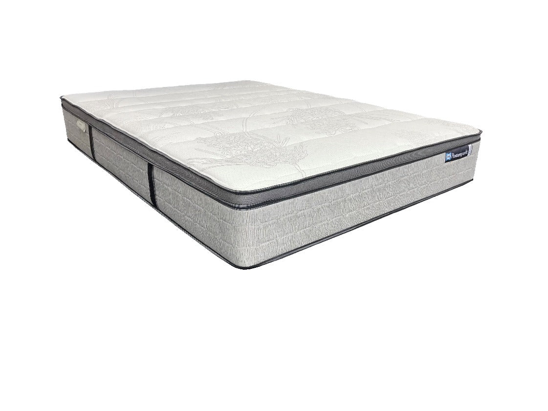 Sealy Posturepedic Firm Mattress - Queen Size, Orthopedic Support for Back Pain Relief - Perfect for Master Bedroom, Guest Room & Home Use
