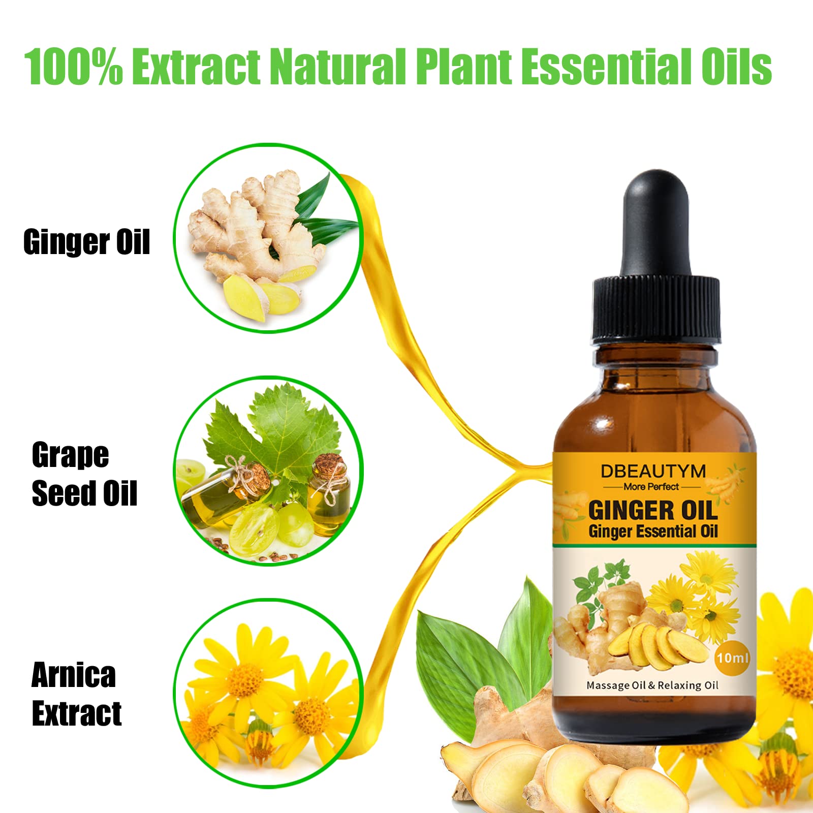 12 Pack Ginger Oil for Lymphatic Drainage & Muscle Relief - Vitamin E Enriched Massage Oil with Arnica for Skin Care, Belly Massage & Sore Muscles - Warming Plant-Based Aroma Oil for Spa, Post-Workout & Relaxation Therapy
