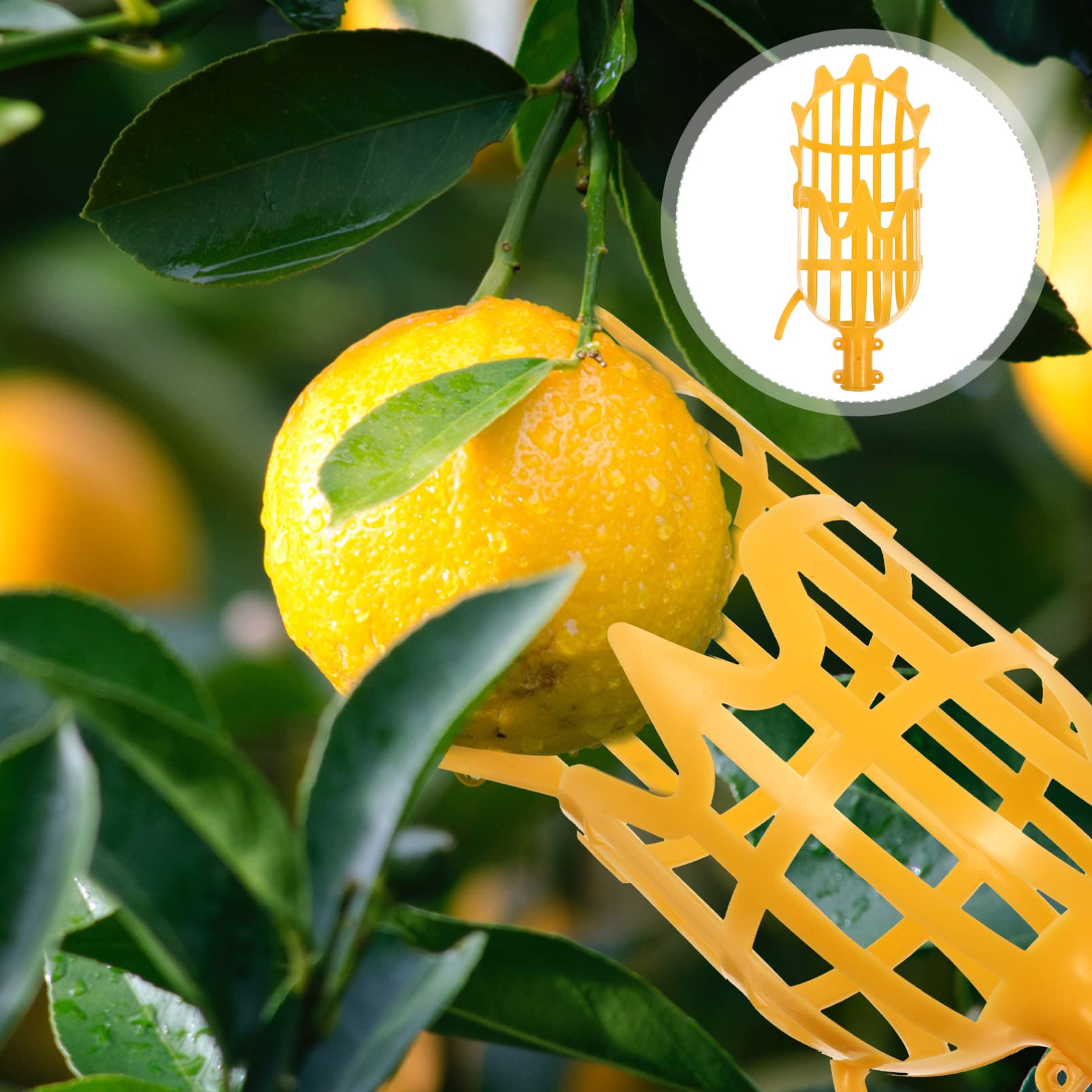 DOITOOL 2-Pack Fruit Picker Basket with Extendable Pole - Harvesting Tool for Pears, Cherries, Apples & Citrus Fruits | Perfect for Home Garden, Orchard Picking & Farm Use (Orange Color, Pole Not Included)