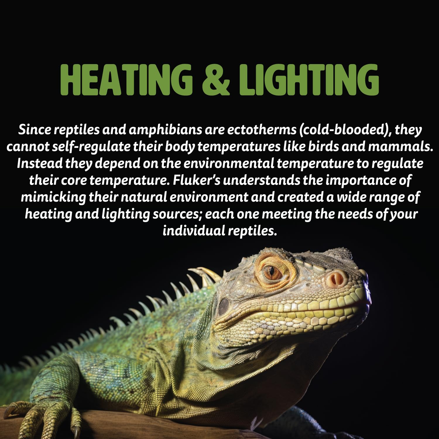 Fluker Labs Under Tank Heater Mat for Reptiles - Small 6