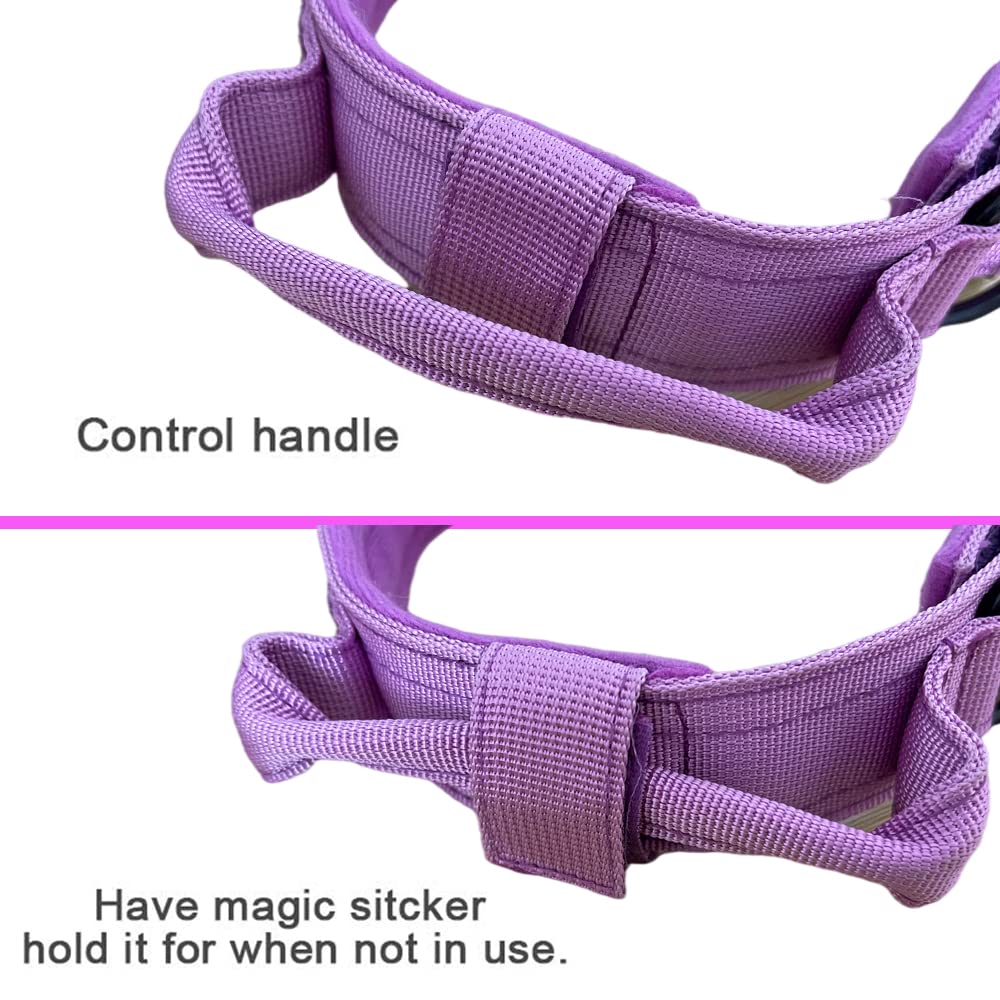 Tactical Dog Collar - Heavy Duty Military Grade Adjustable Nylon Collar with Metal Buckle & Handle for Dog Training - Purple Large Size - Perfect for Outdoor Adventures, Hiking & Police K9 Training