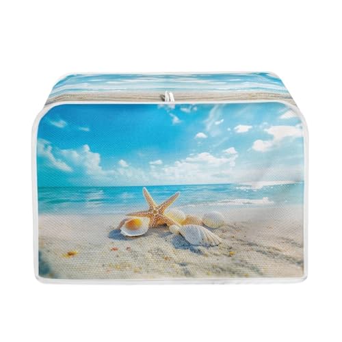 Blue-Beach Shell