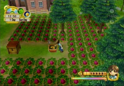 Harvest Moon: Tree of Tranquility for Nintendo Wii - Farming Simulation Game