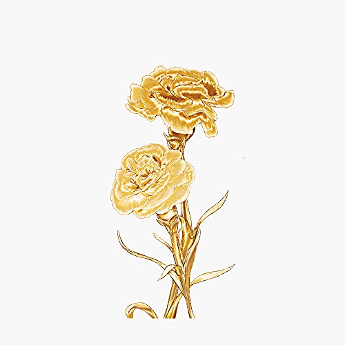 Jan.-Carnation