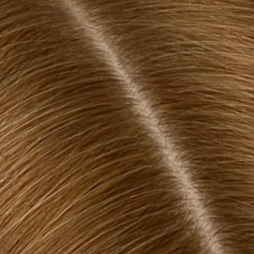 6G Light Golden Brown